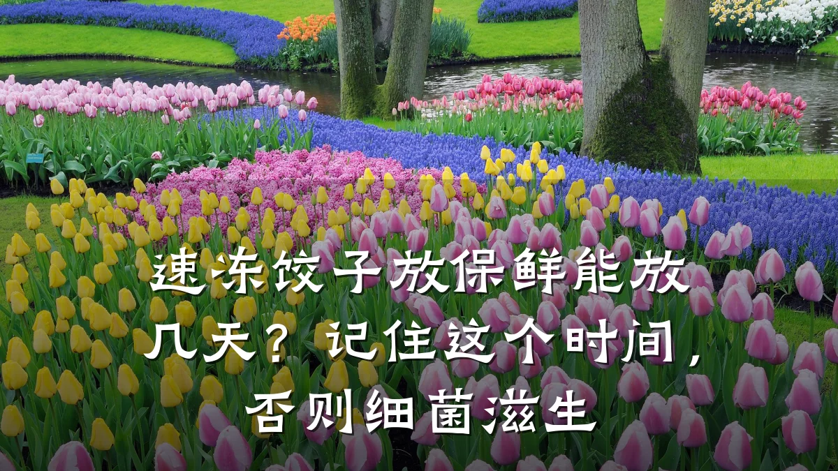 速冻饺子放保鲜能放几天？记住这个时间，否则细菌滋生