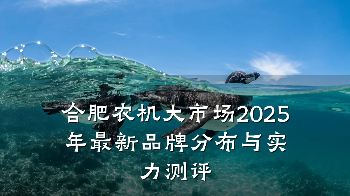 合肥农机大市场2025年最新品牌分布与实力测评