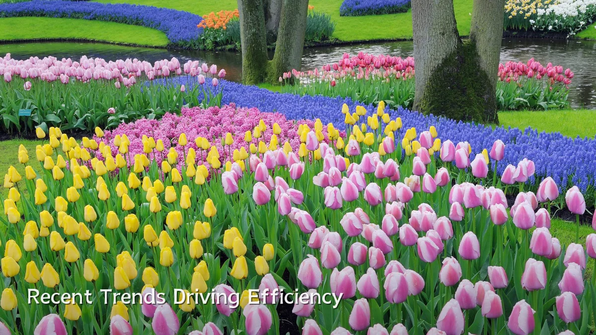 Recent Trends Driving Efficiency
