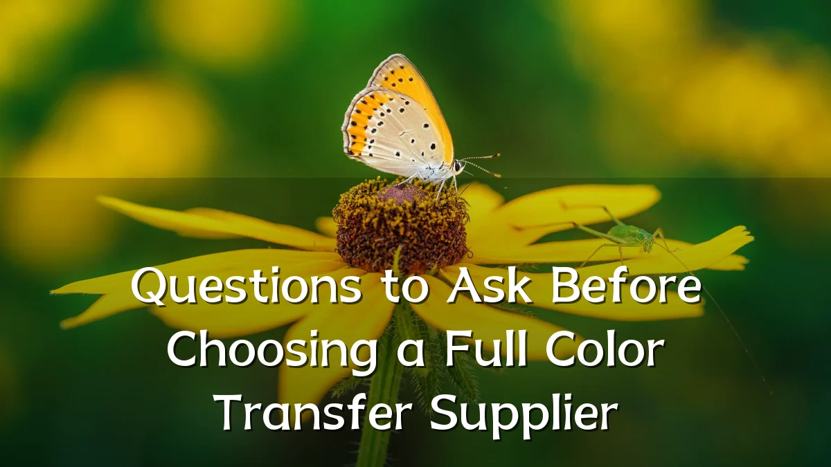 Questions to Ask Before Choosing a Full Color Transfer Supplier