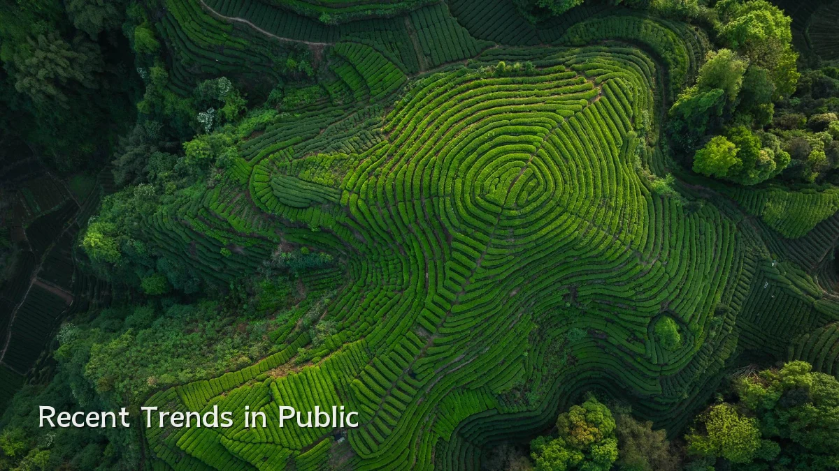 Recent Trends in Public
