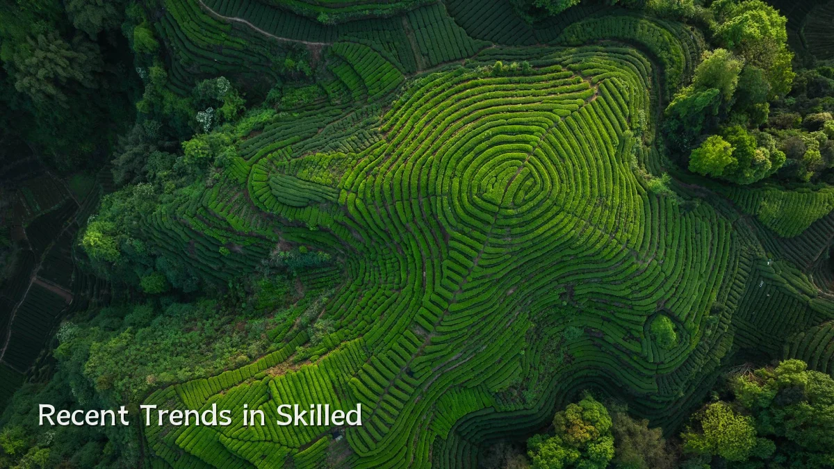 Recent Trends in Skilled