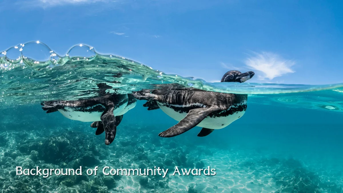 Background of Community Awards