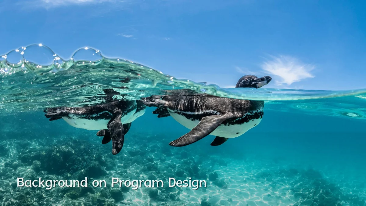 Background on Program Design
