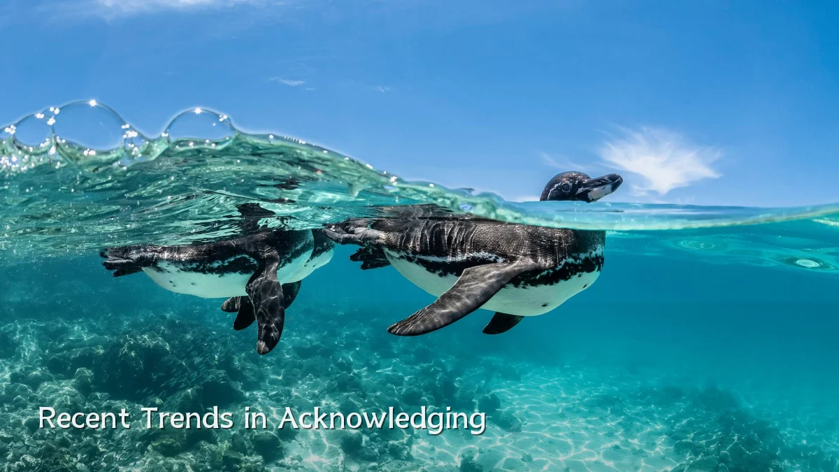 Recent Trends in Acknowledging