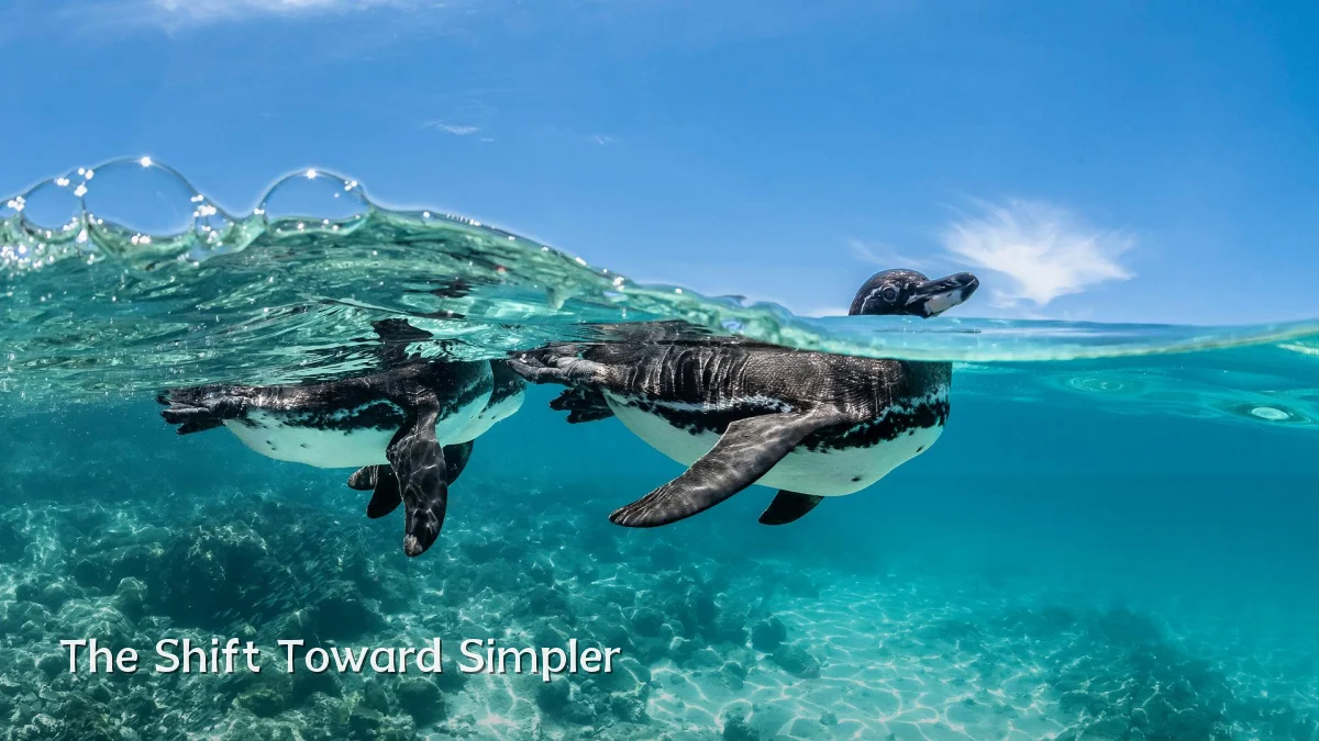 The Shift Toward Simpler