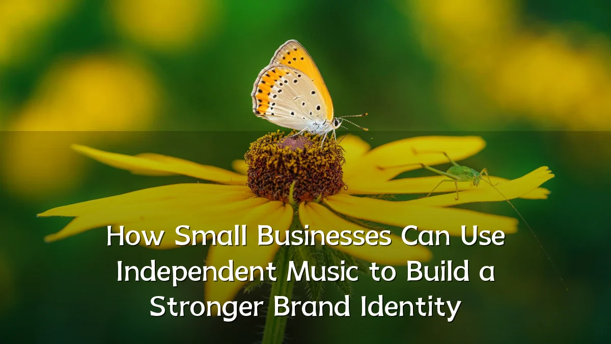 How Small Businesses Can Use Independent Music to Build a Stronger Brand Identity