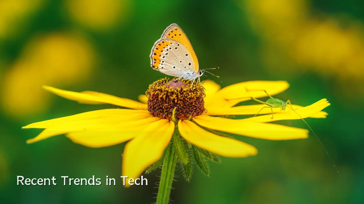 Recent Trends in Tech
