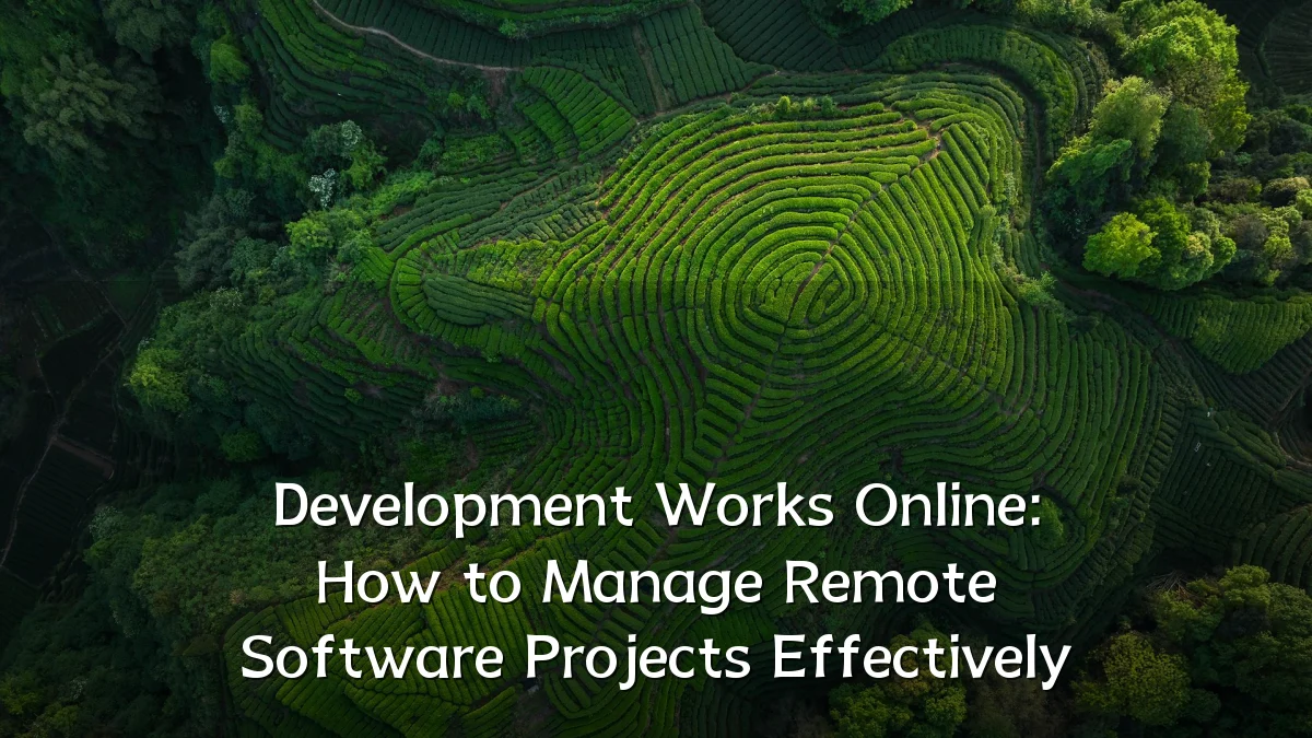 Development Works Online: How to Manage Remote Software Projects Effectively